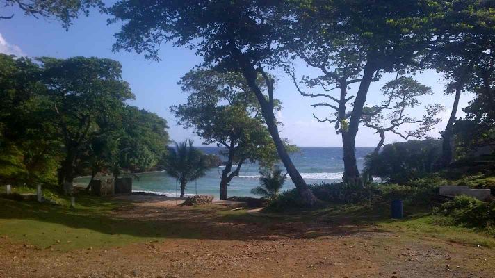 The Beach from Trevor's
